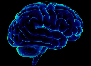 How Games Can Change Your Brain for the Better!