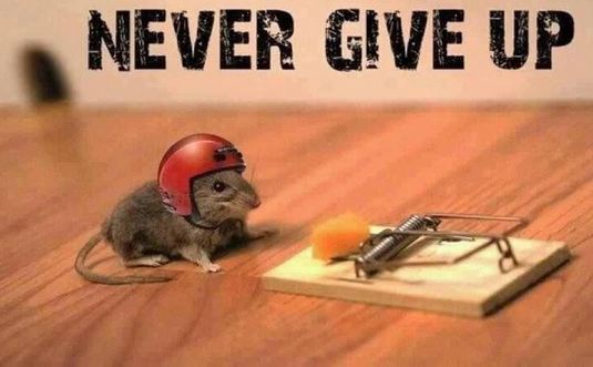 How to Learn from Losing in Video Games